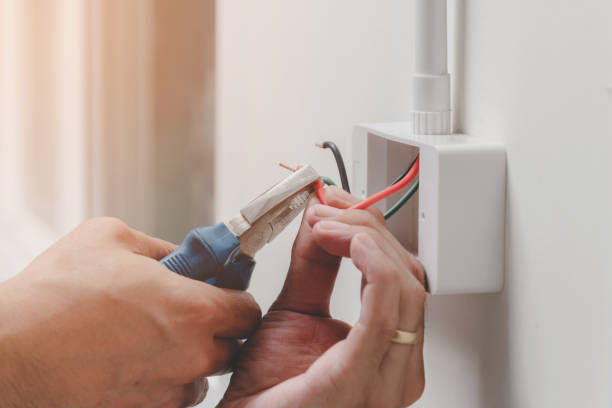 Best Electrical Panel Upgrades  in Elizabeth Lake, CA